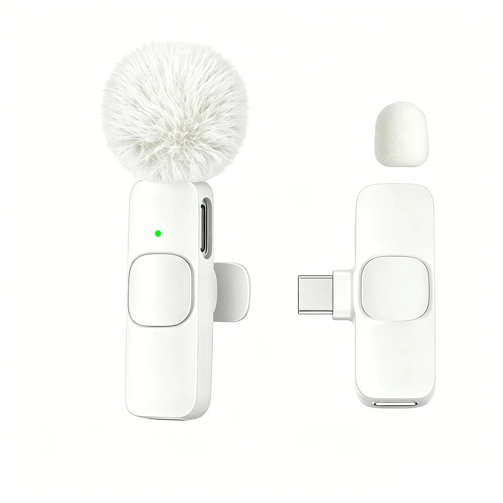 Type-C Port Professional Wireless Lavalier Microphone for Smartphones, Computers, Tablets, Plug and Play