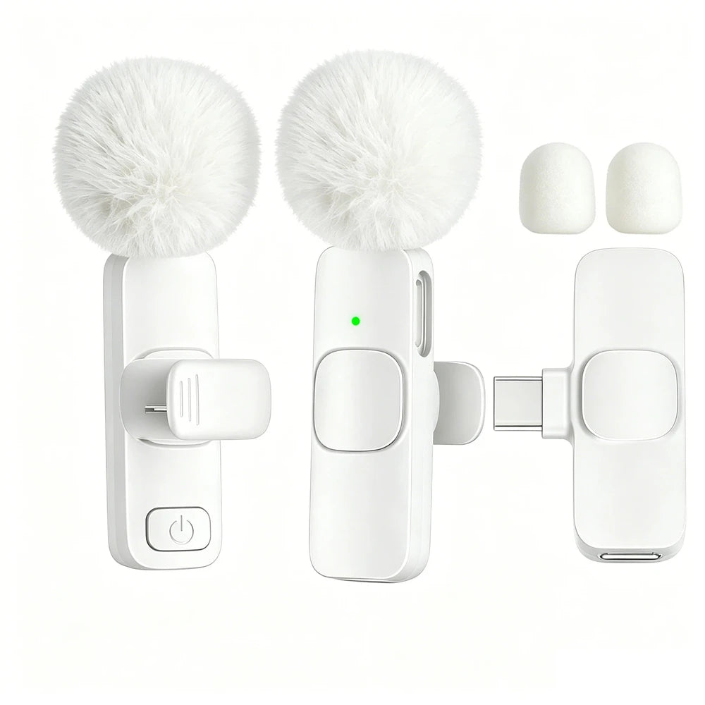 Type-C Port Professional Wireless Lavalier Microphone for Smartphones, Computers, Tablets, Plug and Play